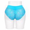 Slip Femme Invisible en Coton & Dentelle Bleu Ciel